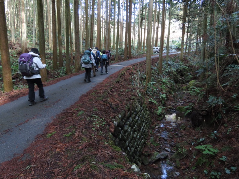 日和田山、物見山
