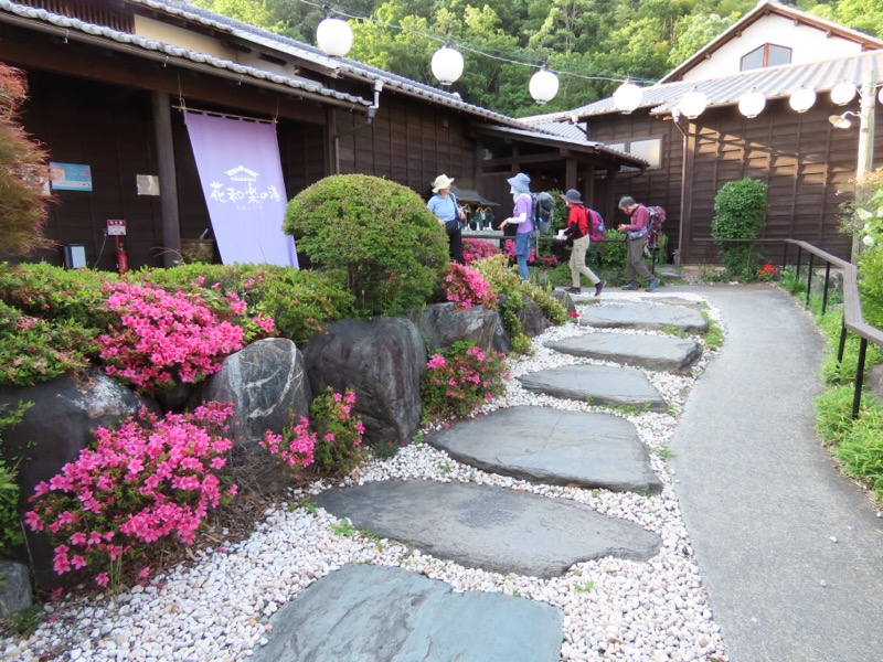 堂平山、ときがわトレッキング