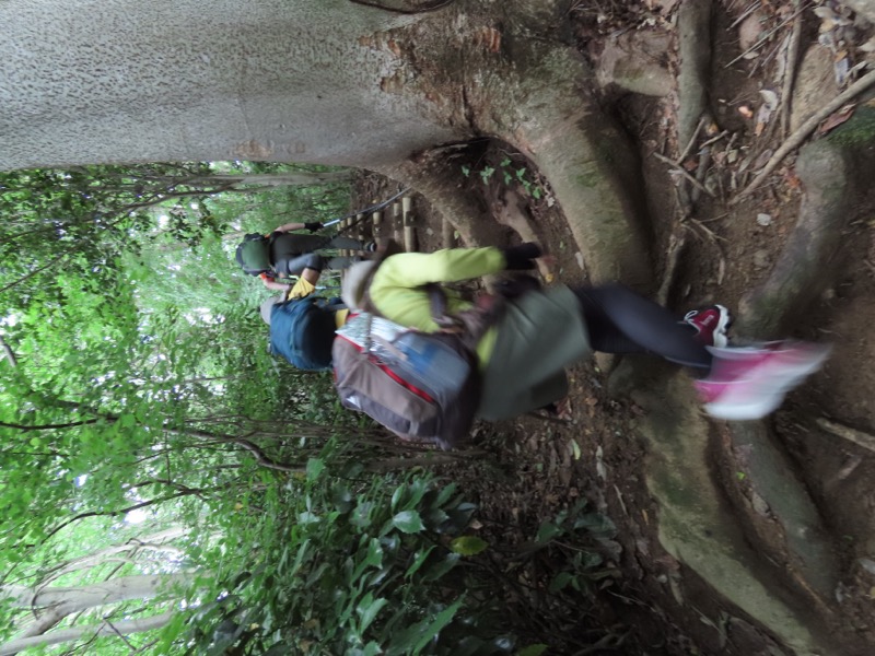 赤ぼっこ、長渕山ハイキングコース