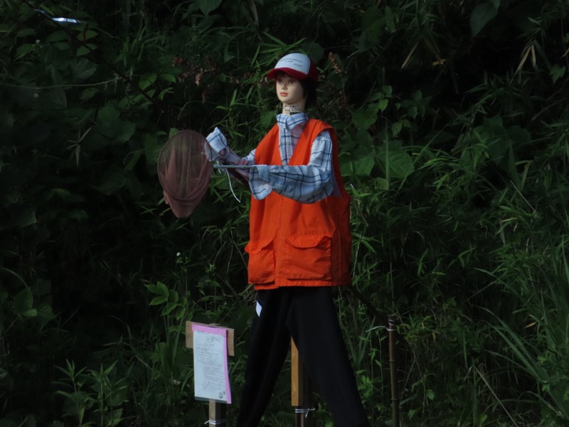 赤ぼっこ、長渕山ハイキングコース