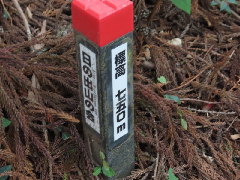 金毘羅尾根