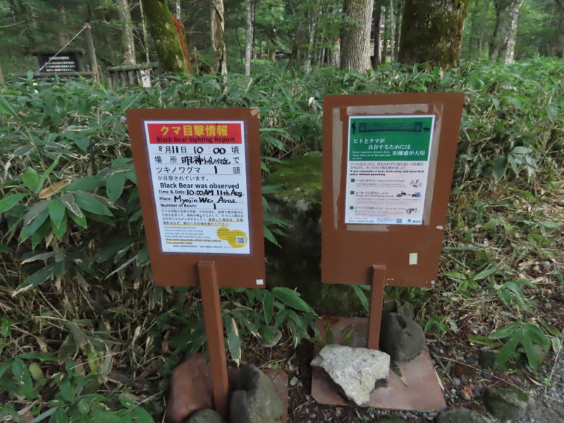 蝶ヶ岳、上高地右岸歩道