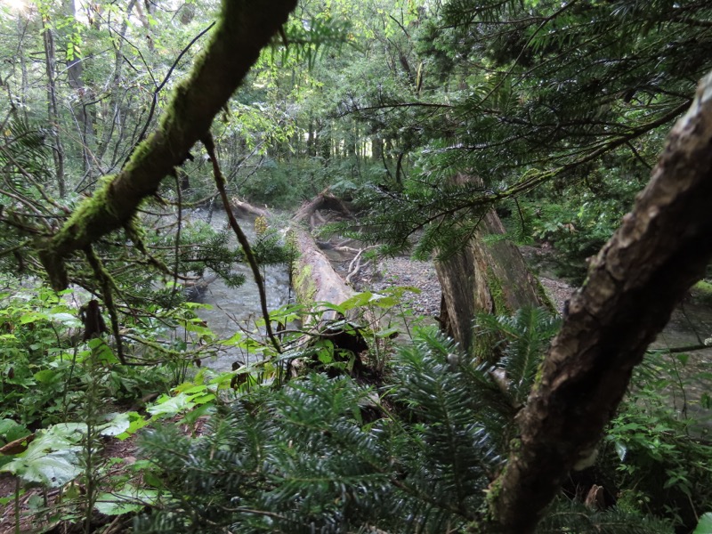 蝶ヶ岳、上高地右岸歩道