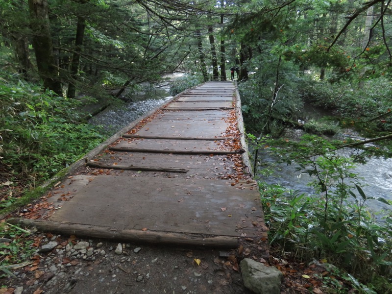 蝶ヶ岳、上高地右岸歩道