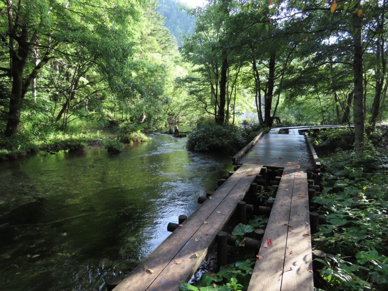 蝶ヶ岳、上高地右岸歩道
