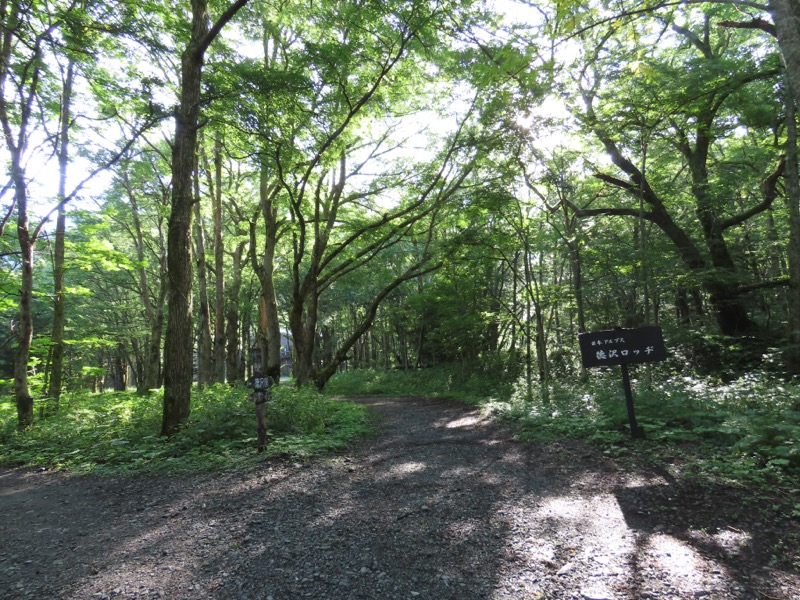 蝶ヶ岳、上高地右岸歩道