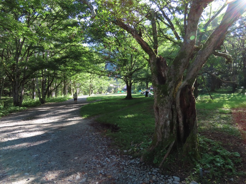 蝶ヶ岳、上高地右岸歩道