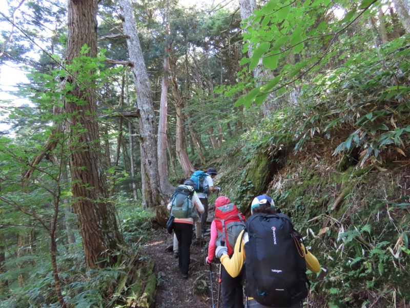 蝶ヶ岳、上高地右岸歩道