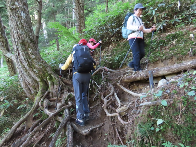 蝶ヶ岳、上高地右岸歩道