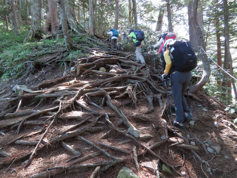 蝶ヶ岳、上高地右岸歩道