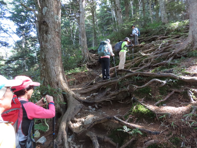 蝶ヶ岳、上高地右岸歩道