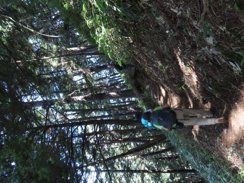 蝶ヶ岳、上高地右岸歩道