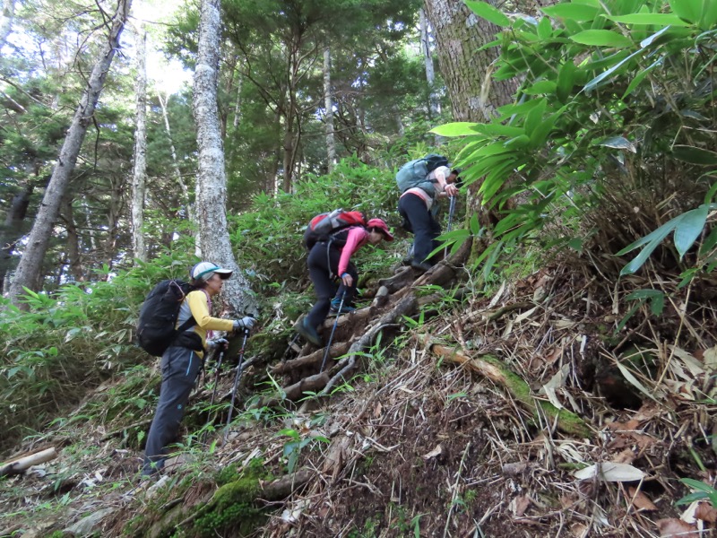 蝶ヶ岳、上高地右岸歩道