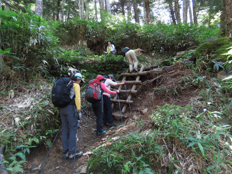 蝶ヶ岳、上高地右岸歩道