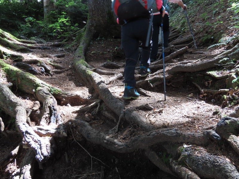 蝶ヶ岳、上高地右岸歩道