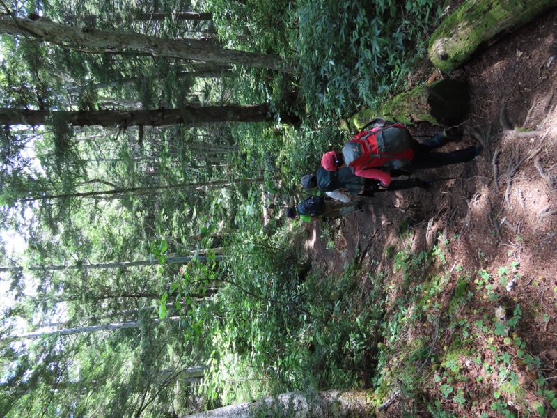 蝶ヶ岳、上高地右岸歩道