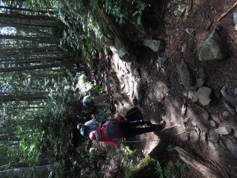 蝶ヶ岳、上高地右岸歩道