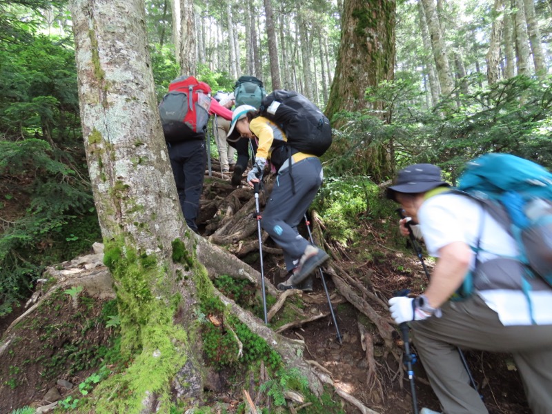 蝶ヶ岳、上高地右岸歩道