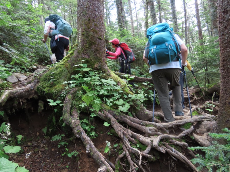 蝶ヶ岳、上高地右岸歩道