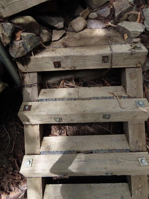 蝶ヶ岳、上高地右岸歩道