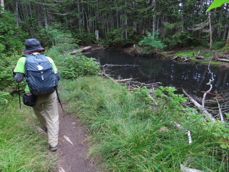 蝶ヶ岳、上高地右岸歩道