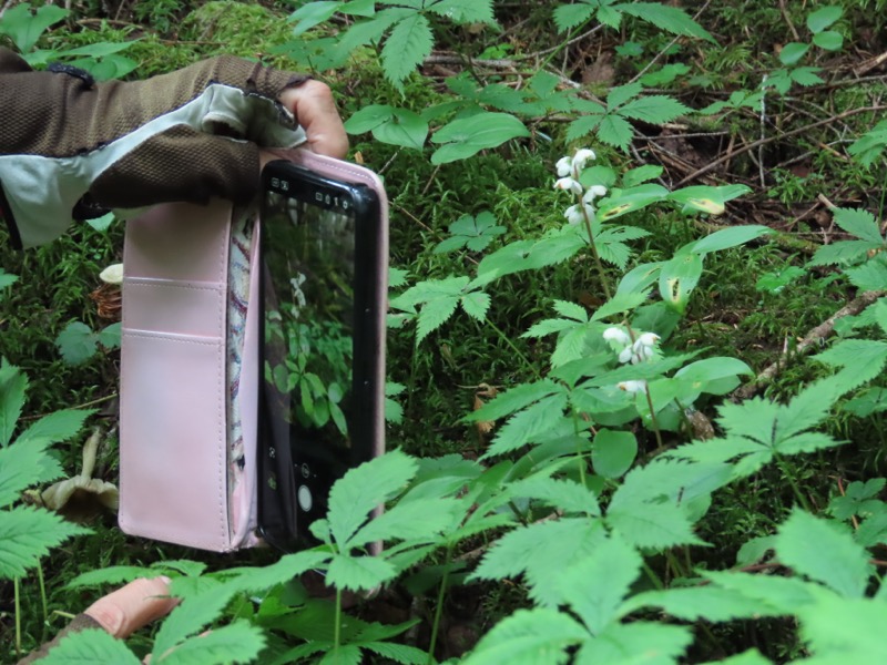 蝶ヶ岳、上高地右岸歩道