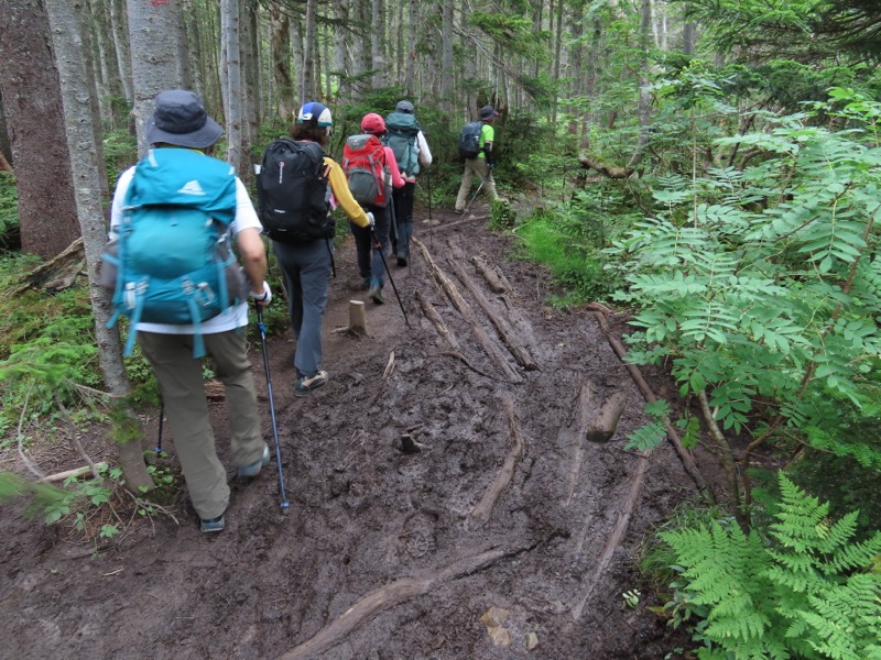 蝶ヶ岳、上高地右岸歩道
