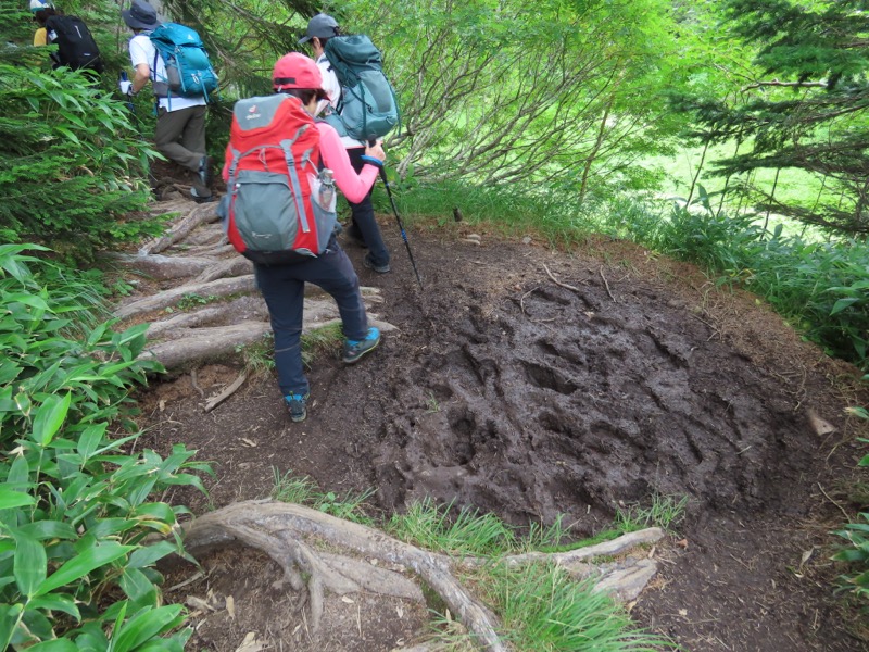 蝶ヶ岳、上高地右岸歩道
