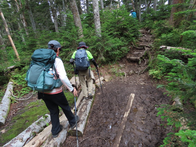 蝶ヶ岳、上高地右岸歩道