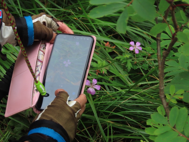 蝶ヶ岳、上高地右岸歩道