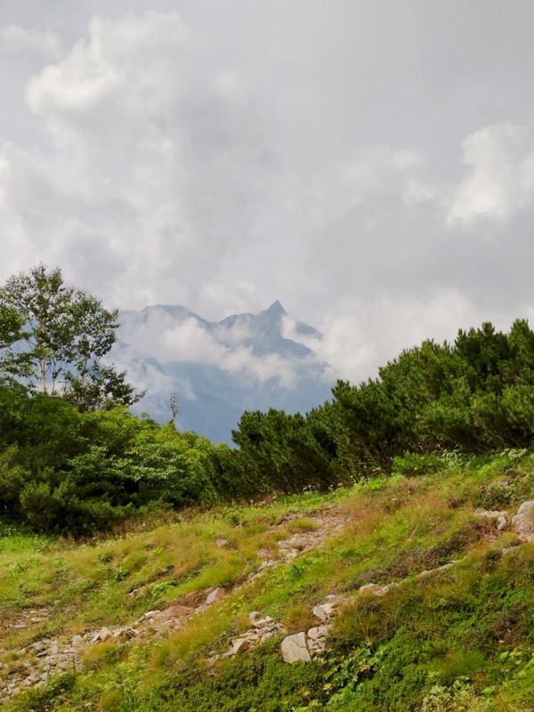 蝶ヶ岳、上高地右岸歩道