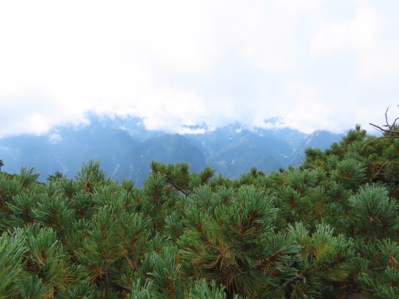 蝶ヶ岳、上高地右岸歩道