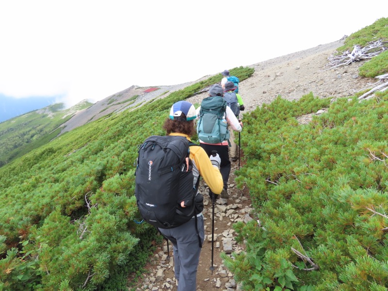 蝶ヶ岳、上高地右岸歩道