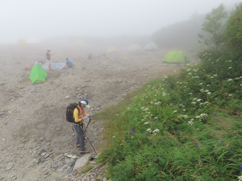 蝶ヶ岳、上高地右岸歩道