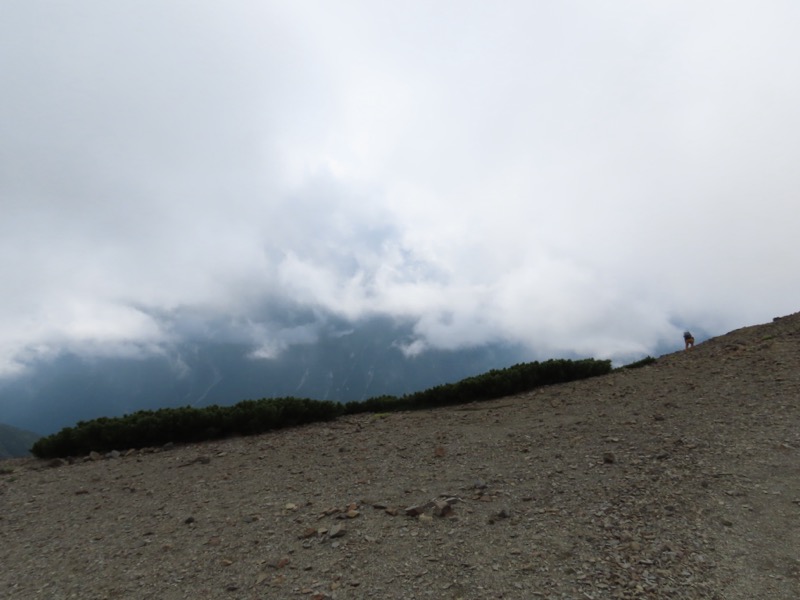 蝶ヶ岳、上高地右岸歩道