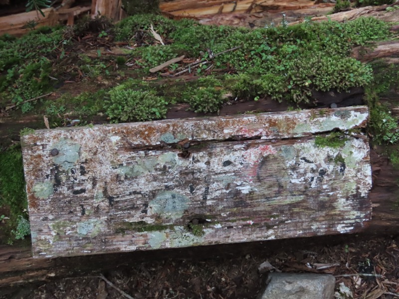蝶ヶ岳、上高地右岸歩道