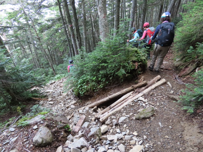 蝶ヶ岳、上高地右岸歩道