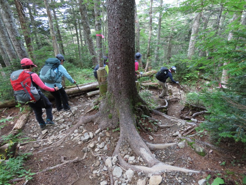 蝶ヶ岳、上高地右岸歩道
