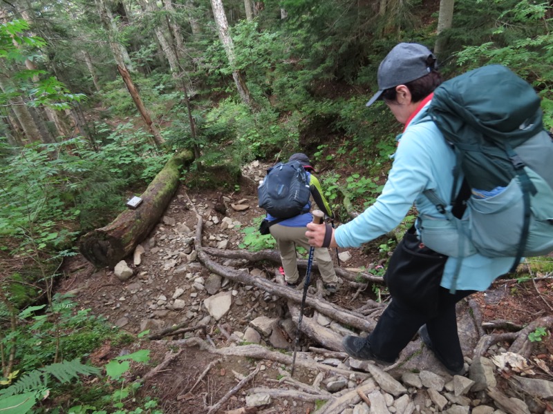 蝶ヶ岳、上高地右岸歩道