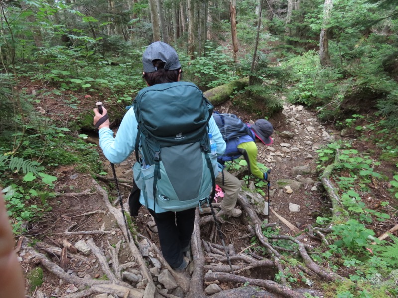 蝶ヶ岳、上高地右岸歩道
