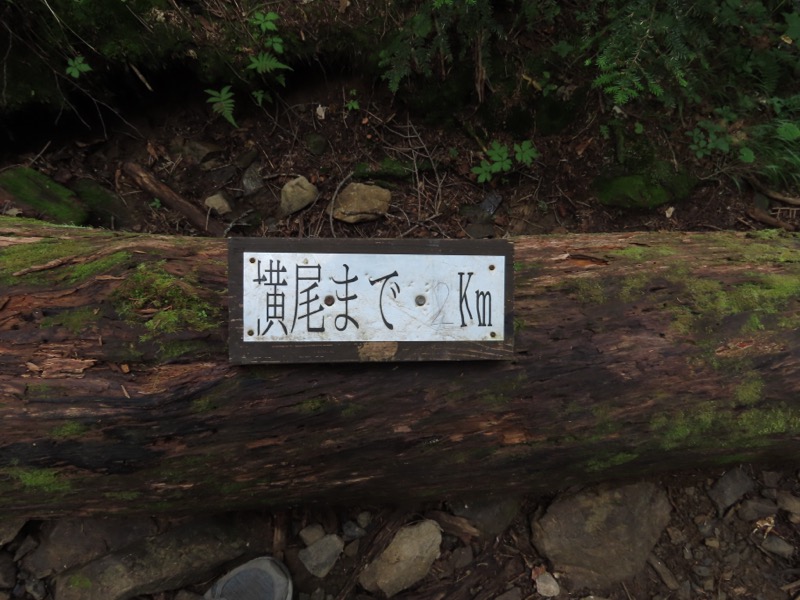 蝶ヶ岳、上高地右岸歩道