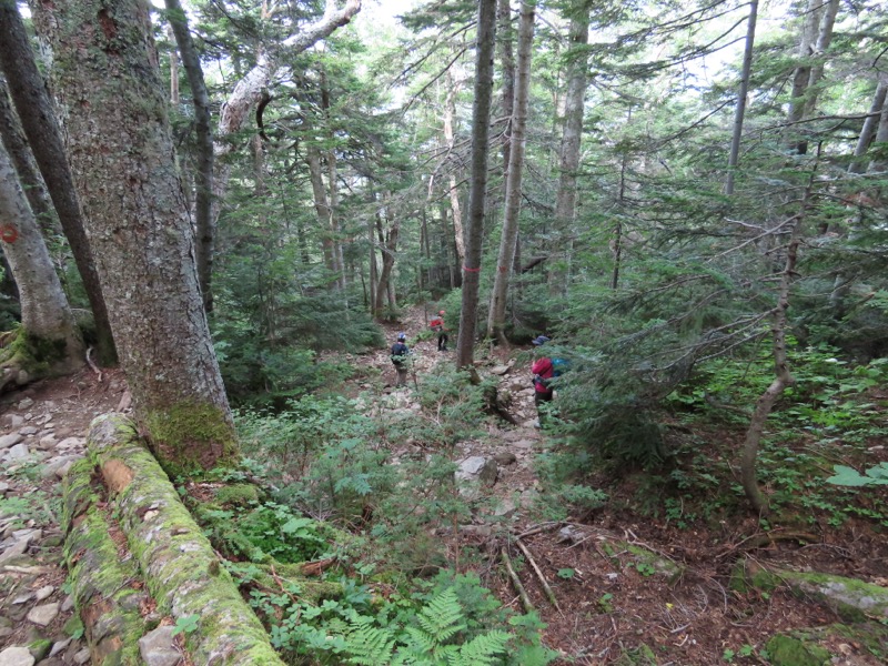 蝶ヶ岳、上高地右岸歩道