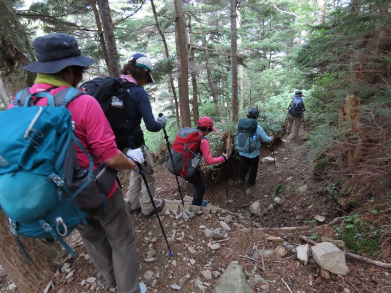 蝶ヶ岳、上高地右岸歩道