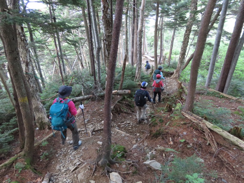 蝶ヶ岳、上高地右岸歩道