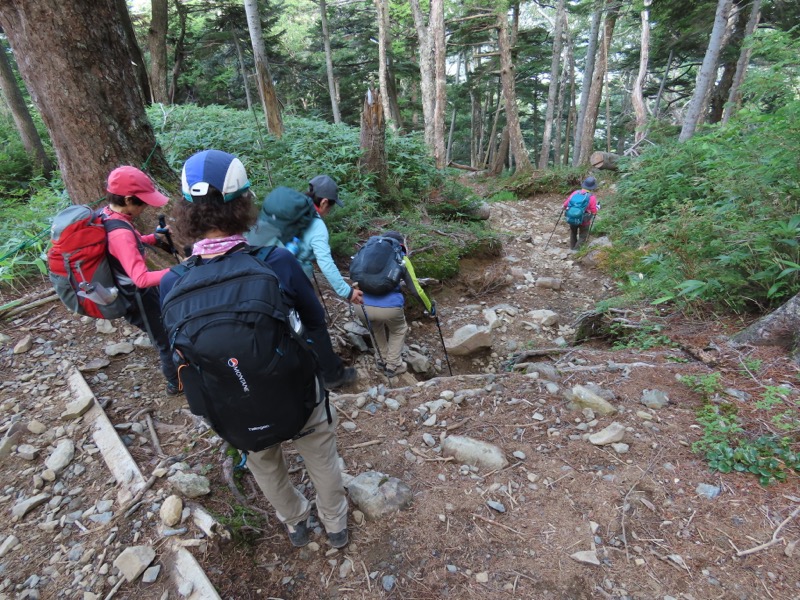 蝶ヶ岳、上高地右岸歩道