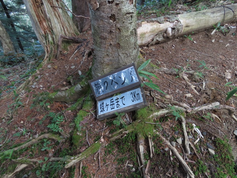 蝶ヶ岳、上高地右岸歩道