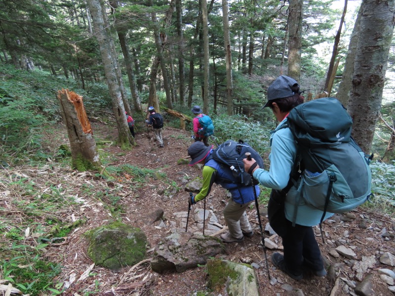 蝶ヶ岳、上高地右岸歩道