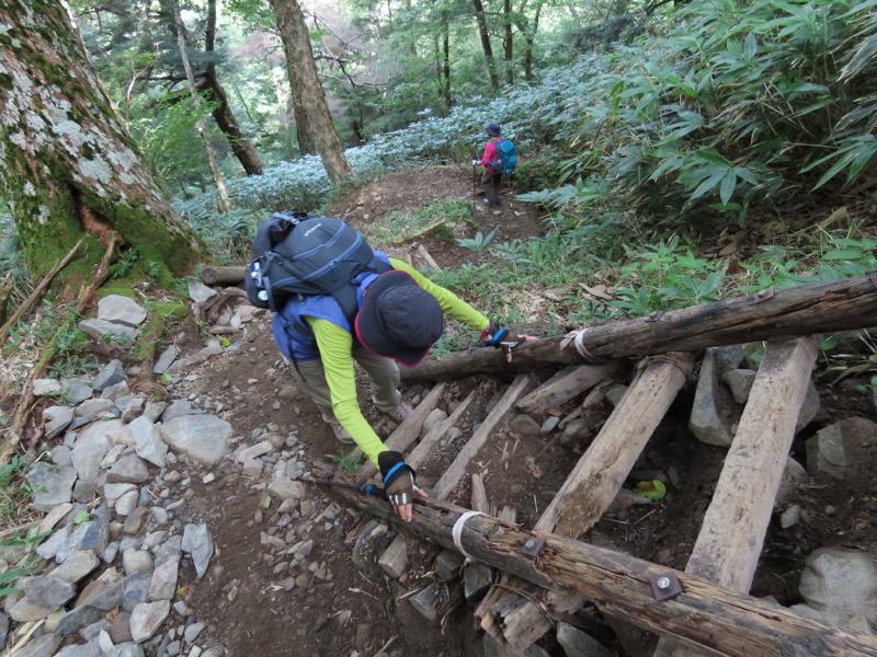 蝶ヶ岳、上高地右岸歩道