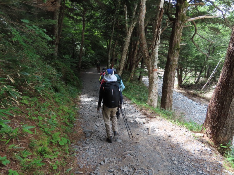 蝶ヶ岳、上高地右岸歩道