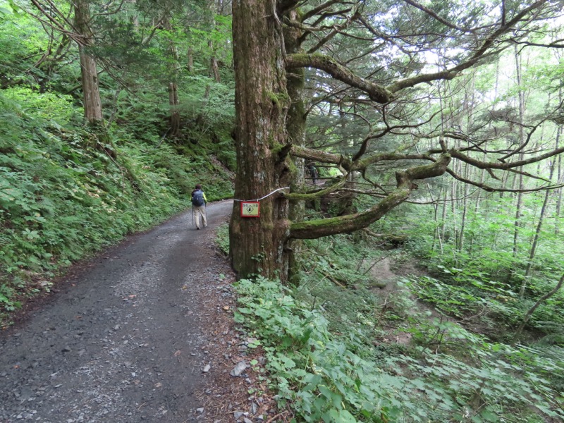 蝶ヶ岳、上高地右岸歩道